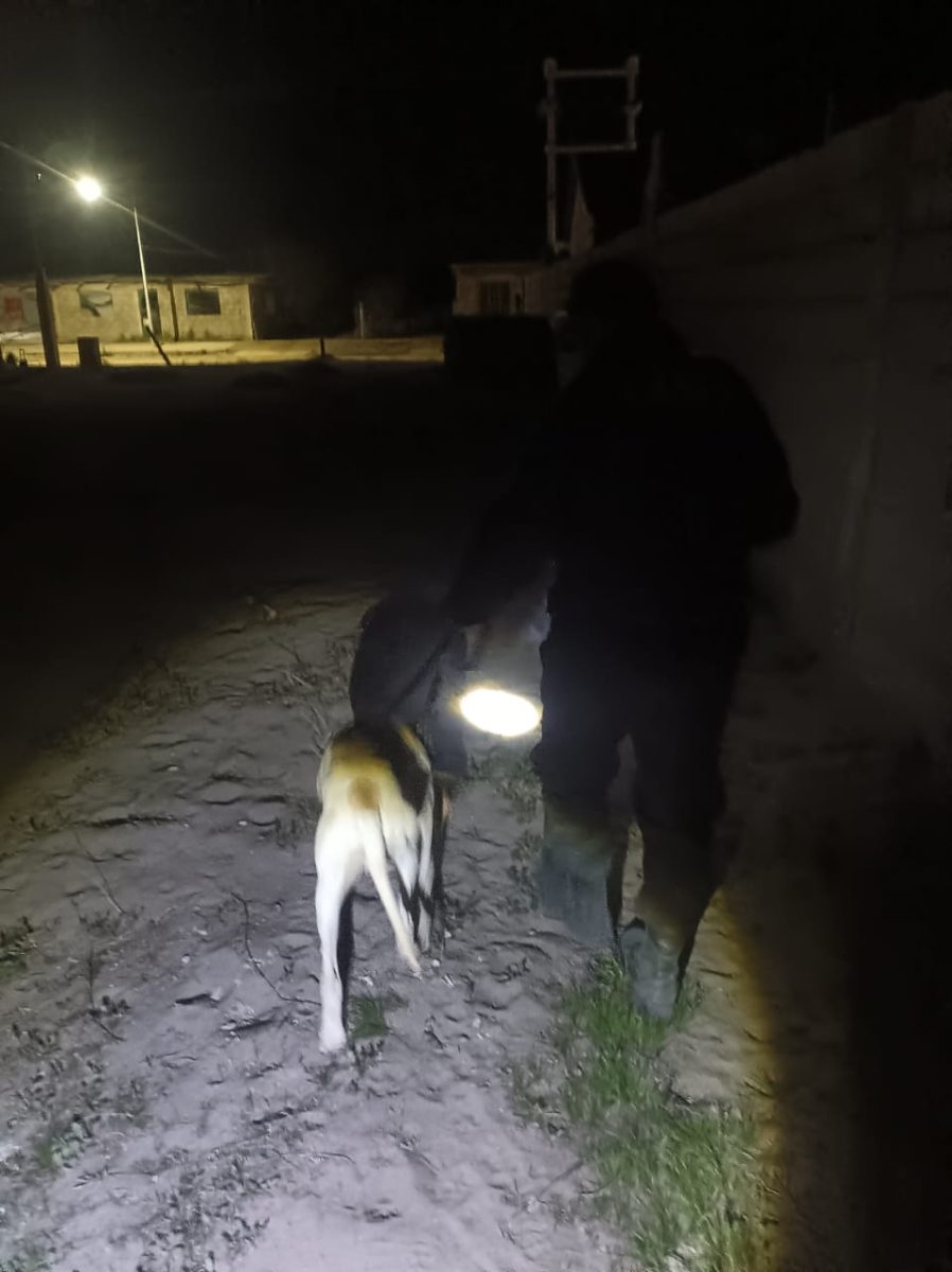 La Paz | Fito siguió un rastro y permitió recuperar elementos robados
