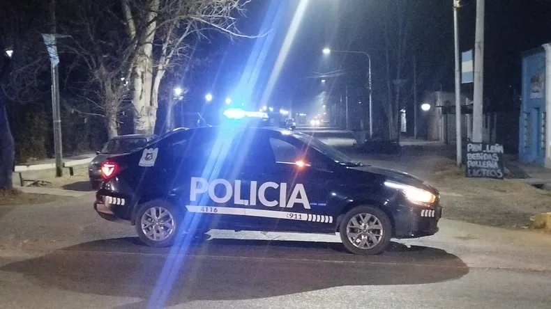 Maipú | Un hombre de 72 años fue detenido tras ser denunciado por abuso infantil y maltrato animal